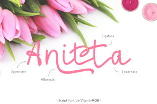Anitta Script for Editorial Design That Connects With Readers