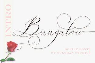 Bungalow Script: A Handwritten Font for Marketing That Connects