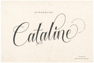 Cataline Script: A Fresh Calligraphy Font for Modern Web Design