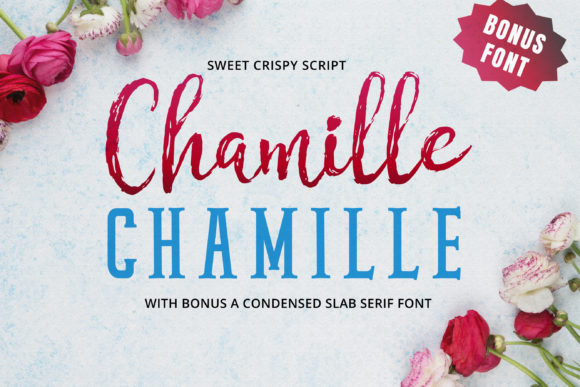 Chamille Script: A Hand-Lettered Typeface for Digital Branding and Web Design