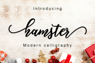 Hamster Script: A Smooth Display Font for Digital Designers