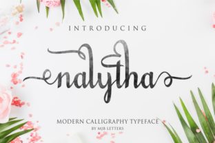 How Nalytha Script Elevates Web Design