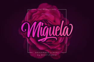 Miguela Script: A Web Designer's Digital Typeface Review