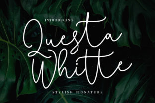Questa Whitte Script: A Designer’s Honest Review