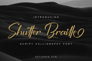Shutter Braille Script: A Font That Builds Small Business Character